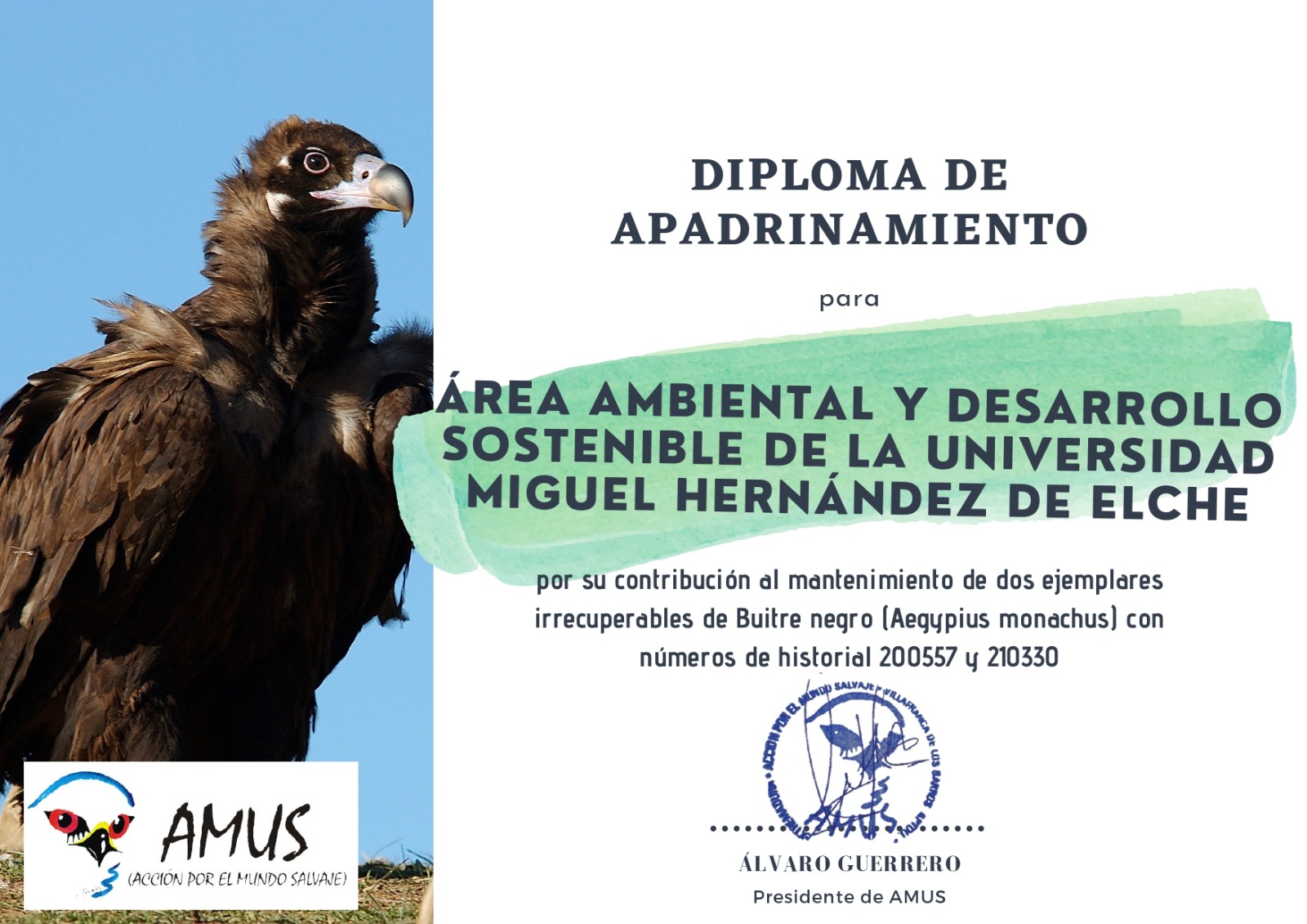 La comunidad universitaria de la UMH colabora, a través del Área Ambiental y Desarrollo Sostenible, en la protección de la fauna silvestre irrecuperable