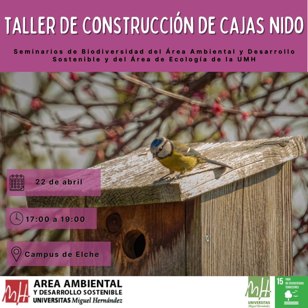 Taller de construcción de cajas nido para fomentar la biodiversidad en la UMH
