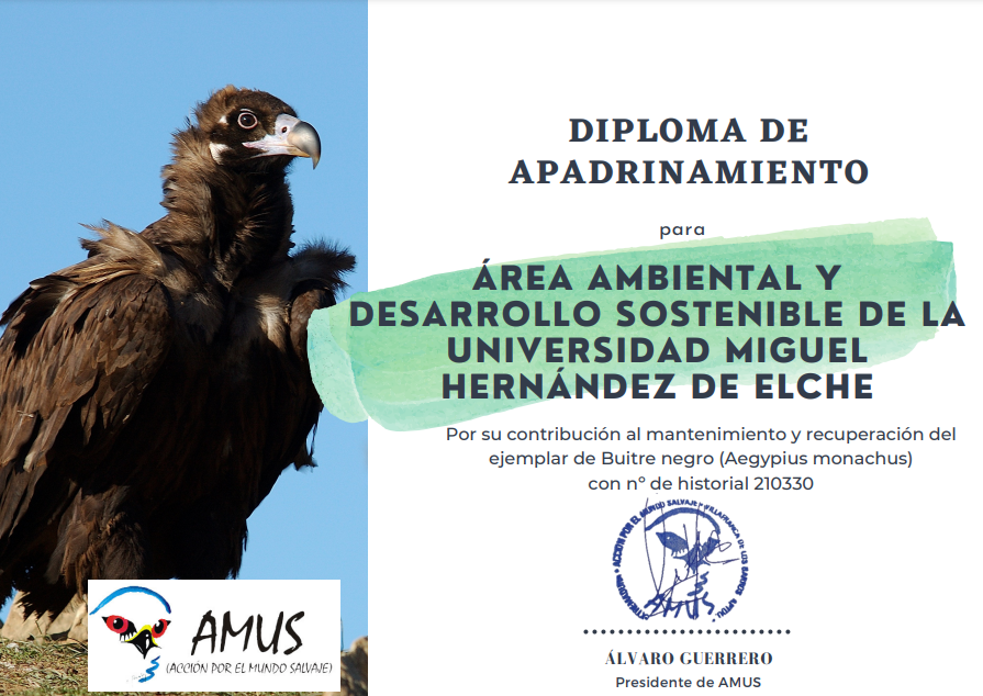 La comunidad universitaria de la UMH colabora, un año más, en la protección de la fauna silvestre irrecuperable