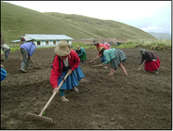 exposicin_campesina