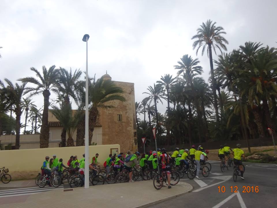 15390813 1332655700113566 7159709787484930291 n