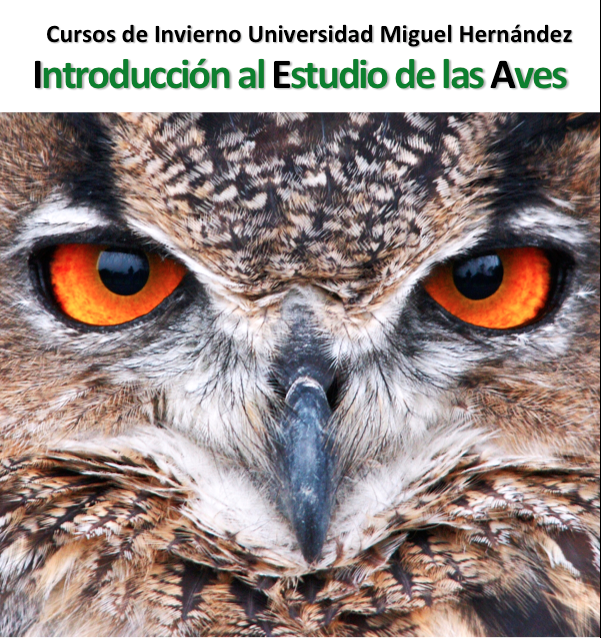 Captura de pantalla 2015-10-26 a las 13.37.12