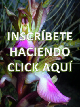 Captura de pantalla 2016-01-18 a las 13.34.15