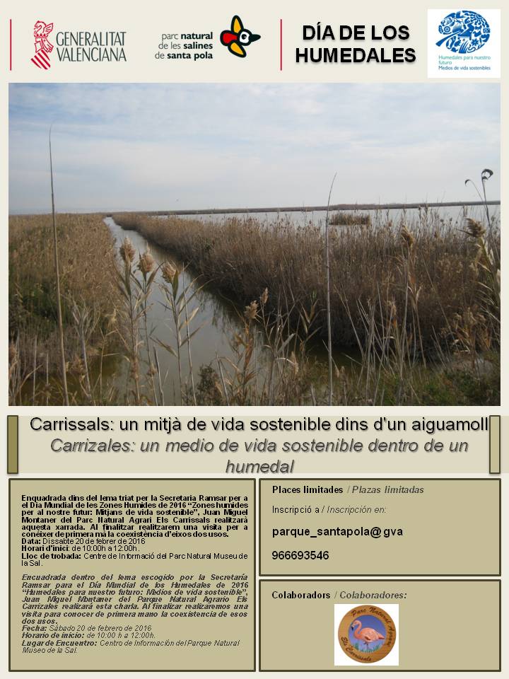 Cartel charla carrizales2